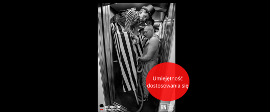 UMIEJĘTNOŚĆ DOSTOSOWANIA SIĘ - MIMELLO ZZA KULIS